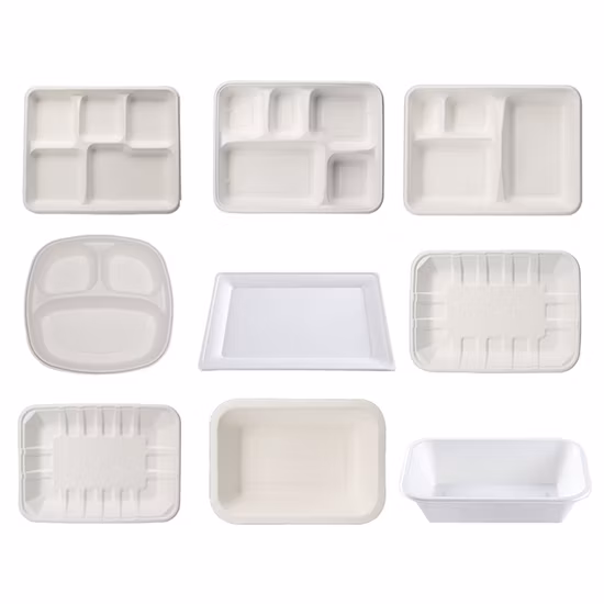 Biodegradable Food Packaging Container Sugarcane Container