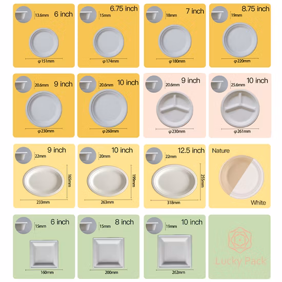 Biodegradable Food Packaging Container Sugarcane Container