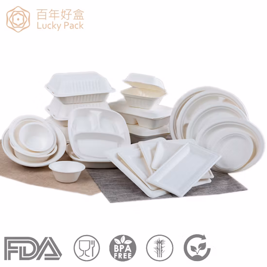 Biodegradable Food Packaging Container Sugarcane Container