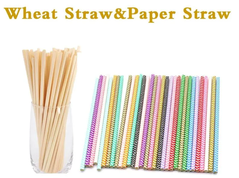 Biodegradable Compostable Plastic Bamboo Fiber Sugarcane Bagasse Paper Reed Wheat Grass Reusable Wrapped Disposable Hot Boba Milk Bubble Tea PLA Drinking Straw